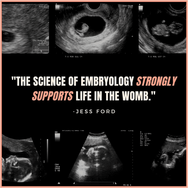 image about abortion the issue and ultrasounds