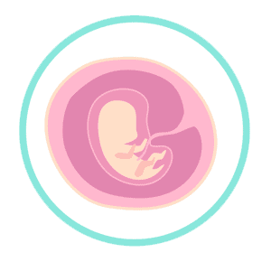 abortion ban looks at a 6-week baby