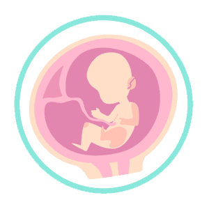 Pain capable abortion bans often start at the 5 month or 20 week gestation age of preborns