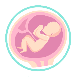 Image of 9 month old when considering abortion bans
