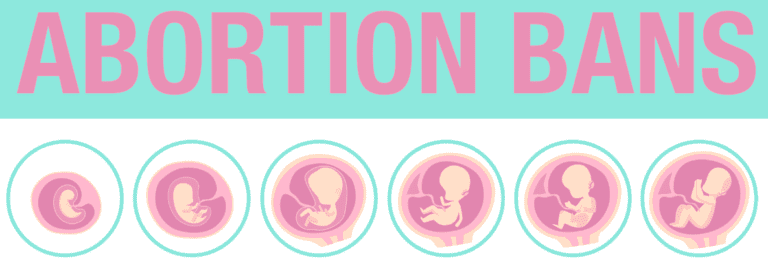 Image of growing fetus when considering abortion bans